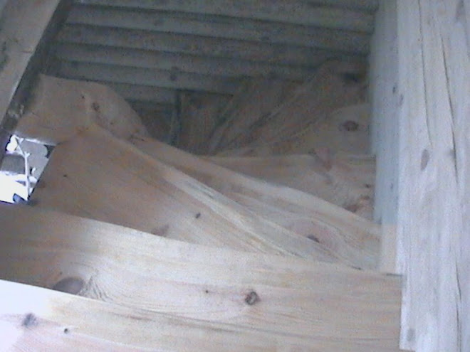 laiptai is neapipjautu lentu
