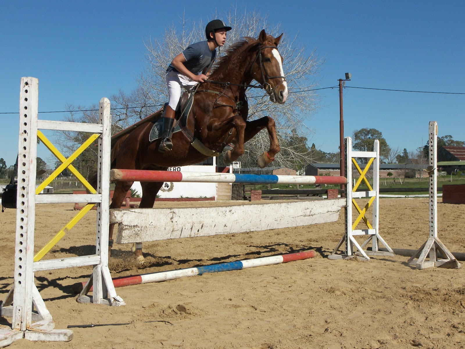 Equitación: Te Contaremos todo sobre Equitacion: