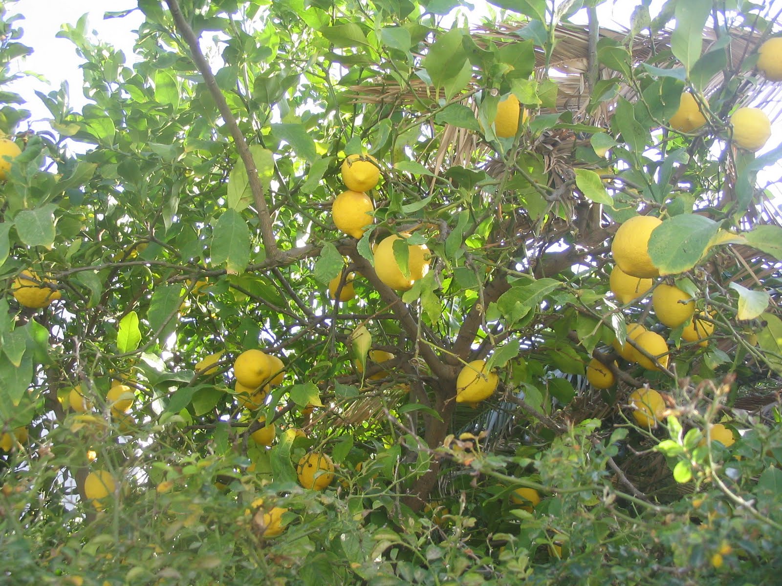 [IMG_0613.JPG]
