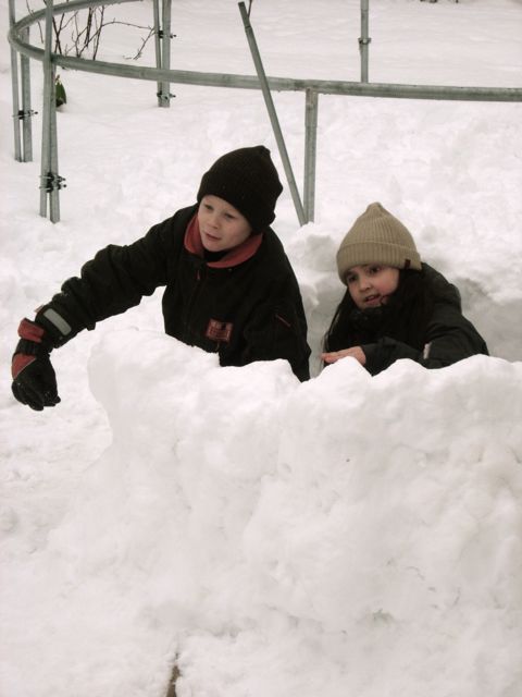 [igloo+2.jpg]