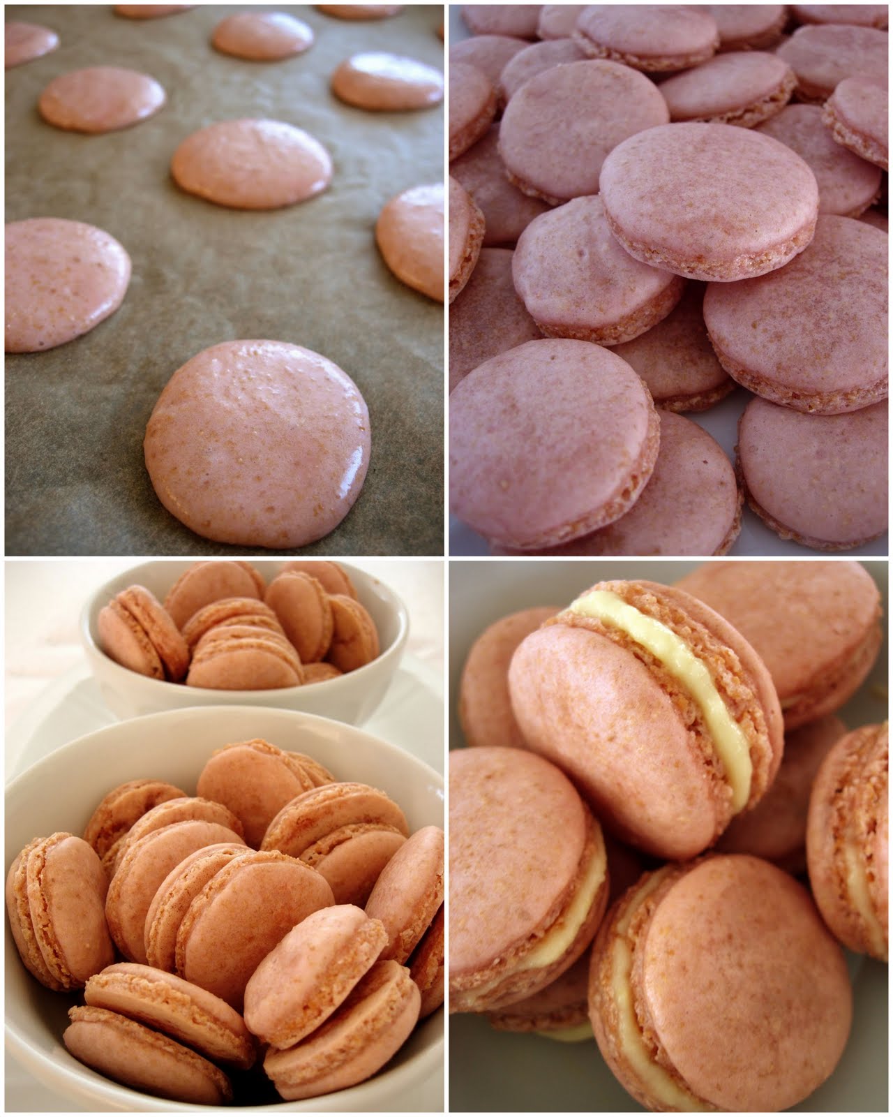 [Recently+Updated9.jpg]