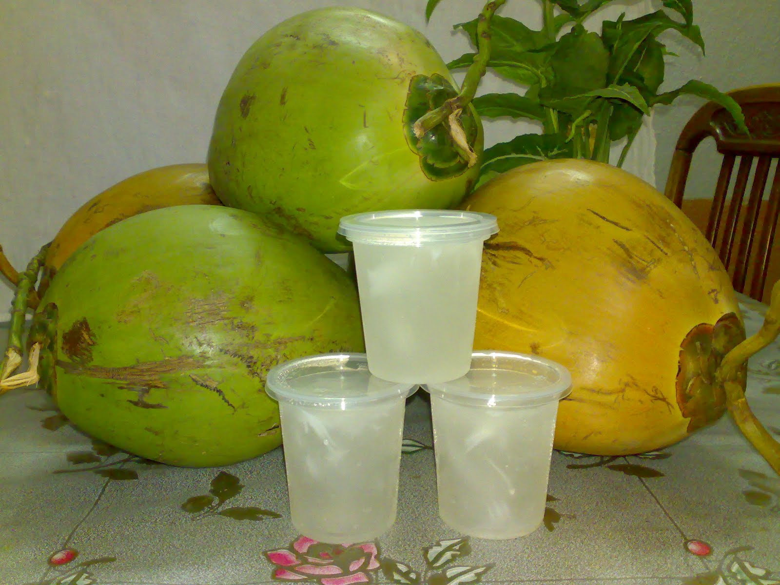 Jelly Kelapa Muda, Jelly Tapai, Tapai Pulut (TEMPAHAN)