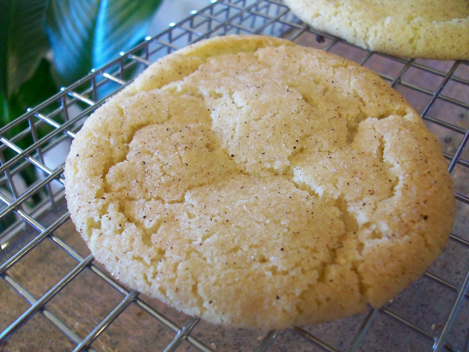 At Home With Haley Snickerdoodle Cheesecake Cookies
