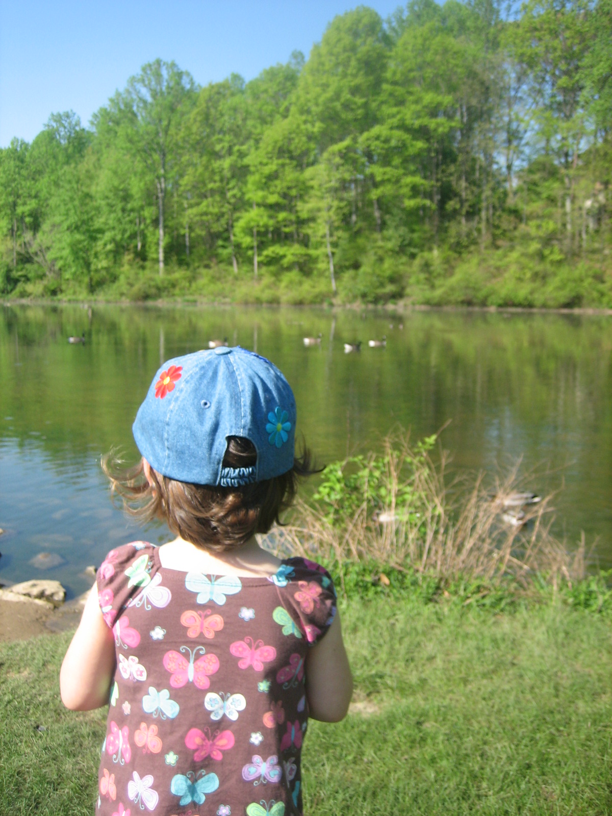 Attempted Symmetry Cheezits and Jesus