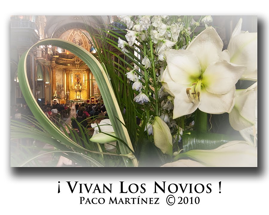 SON LAS FOTOS DE PACO ¡VIVAN LOS NOVIOS!