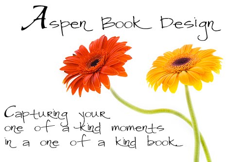 Aspen Book Design