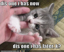 funny-pictures-kitten-eats-finger-later.jpg