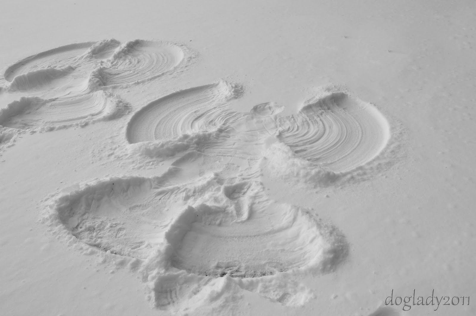 snow%20angels111.jpg
