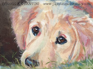 Golden Retriever portrait