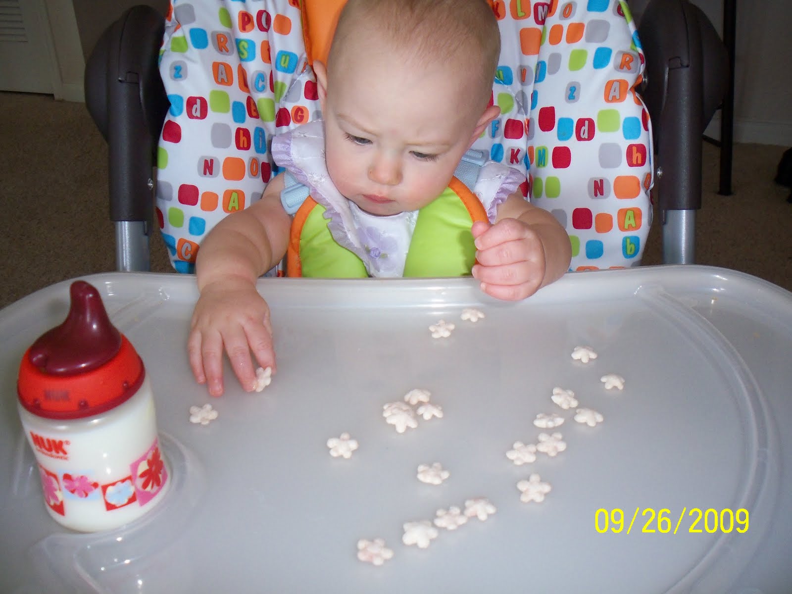 [ava+eight+months+old+043.JPG]