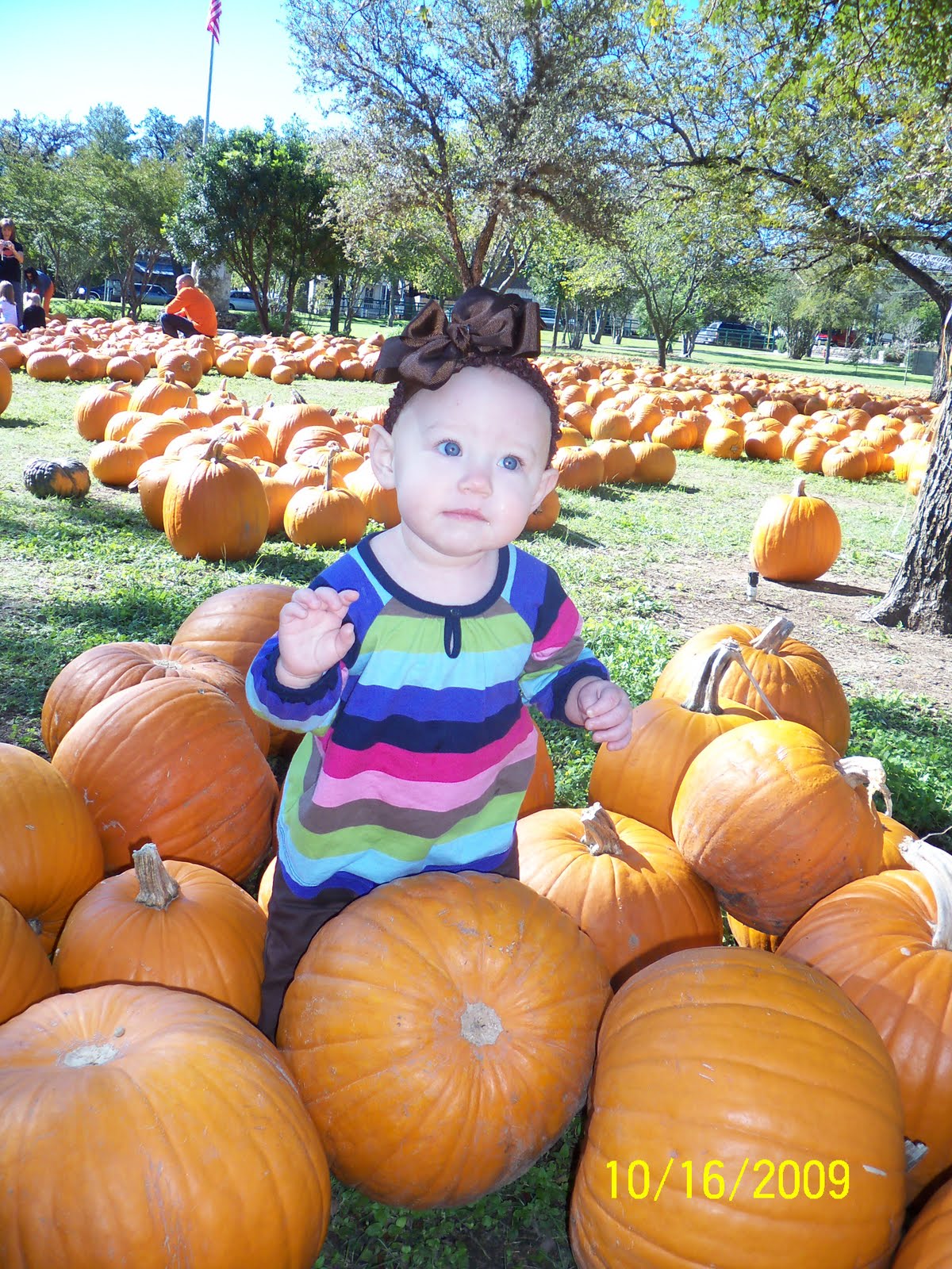 [Pumpkin+Patch+09+006.JPG]