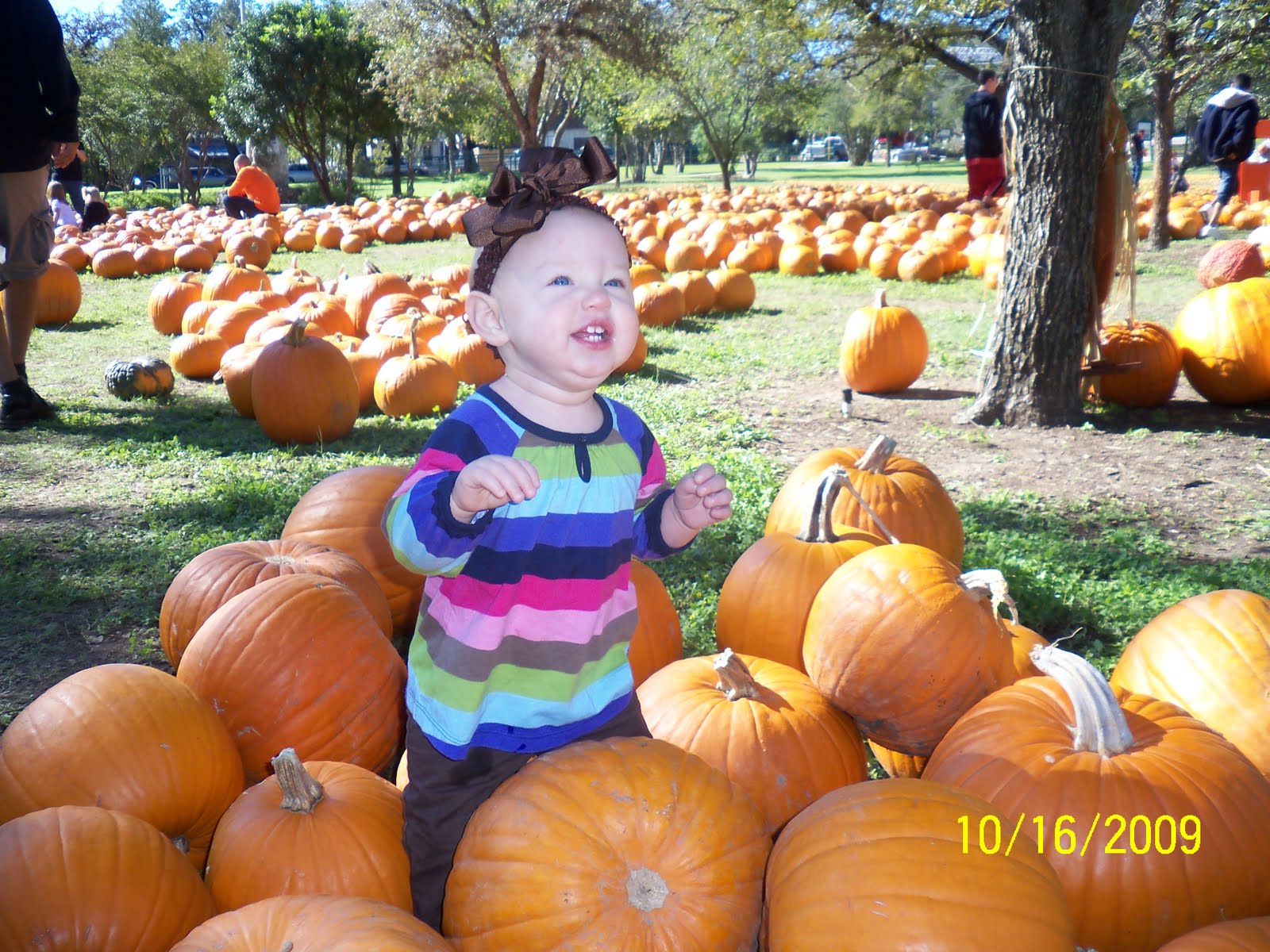 [Pumpkin+Patch+09+005.JPG]