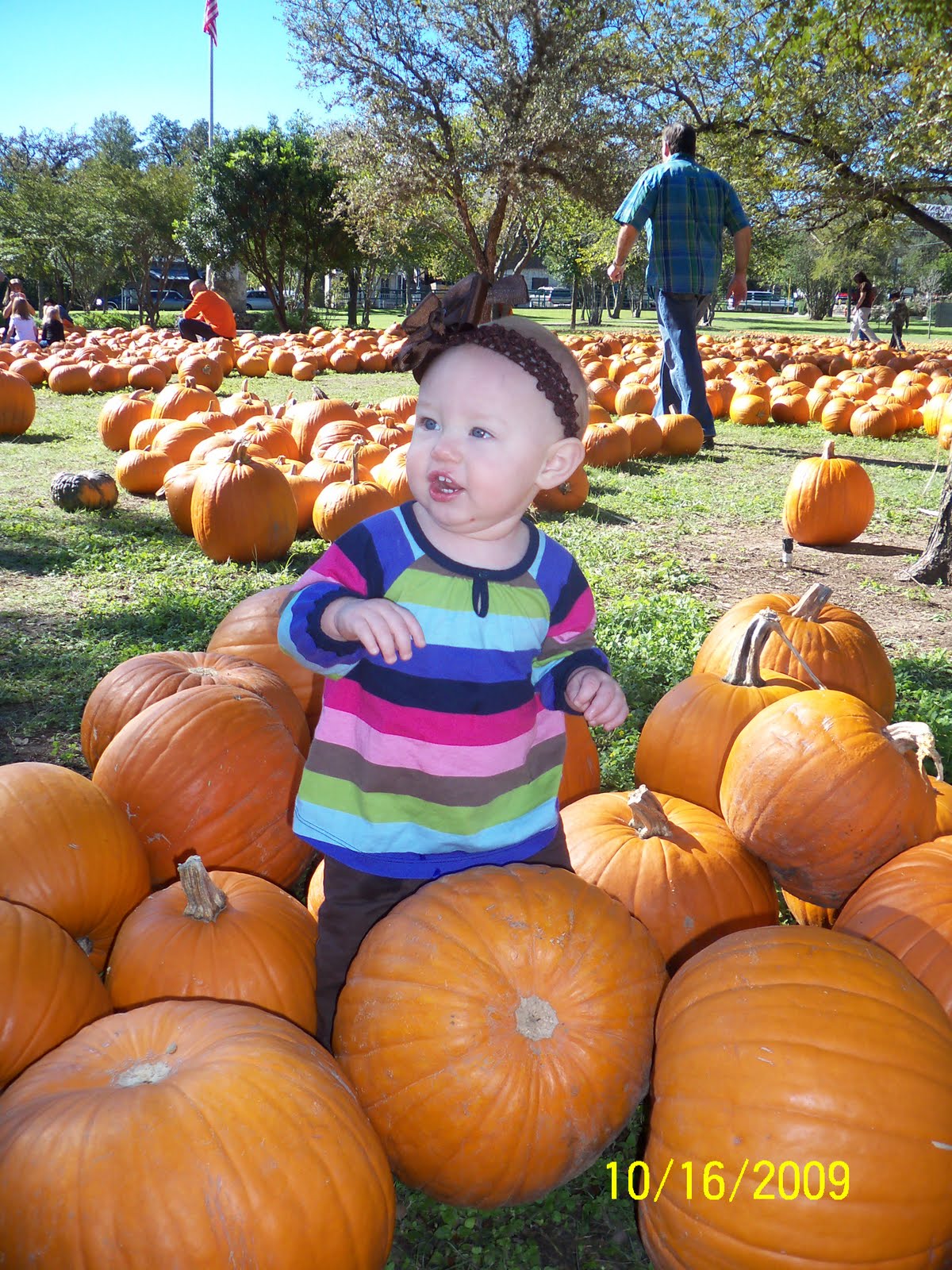 [Pumpkin+Patch+09+007.JPG]