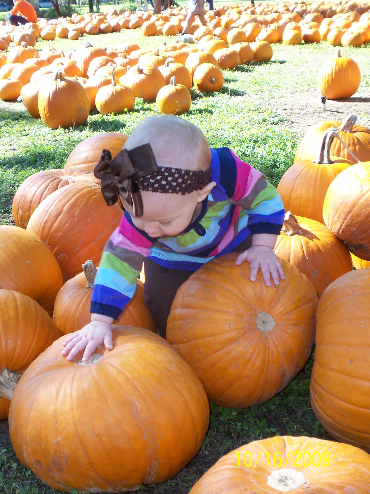 [Pumpkin+Patch+09+008.JPG]