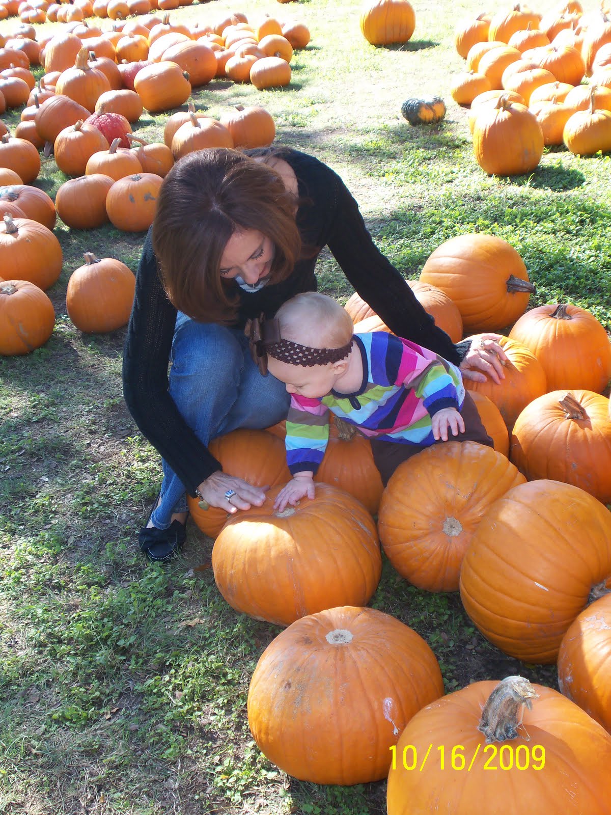[Pumpkin+Patch+09+016.JPG]