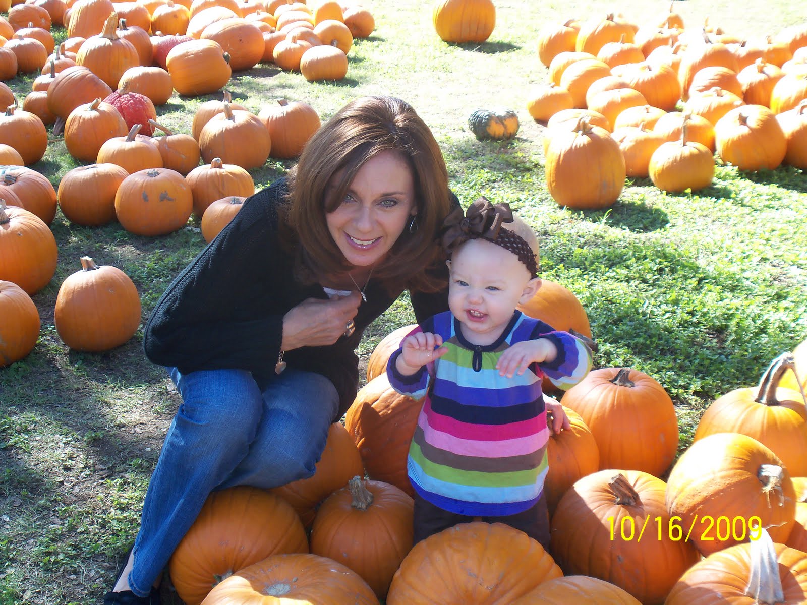 [Pumpkin+Patch+09+019.JPG]