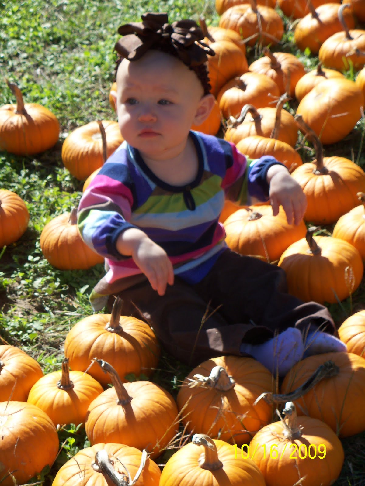 [Pumpkin+Patch+09+050.JPG]