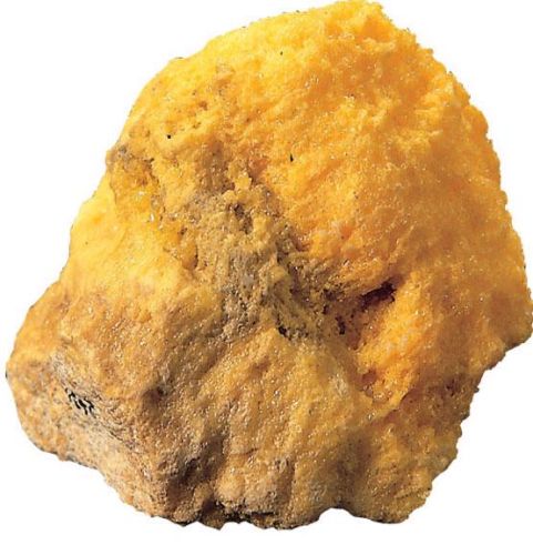 Free free naked sex pic sexy beach butts com free group blowjob videos threesomes