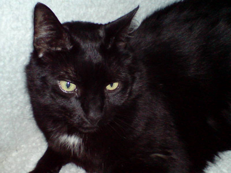 [image-upload-413-748581.jpg]