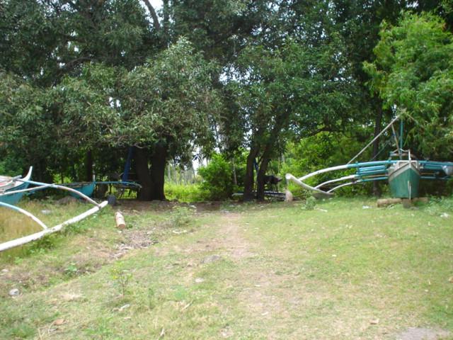 Beach Land Located in Dauin Oriental Negros near the Apo island