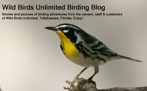 WBU's BIRDING BLOG