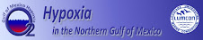 Learn about hypoxia and the Gulf of Mexico dead zone.