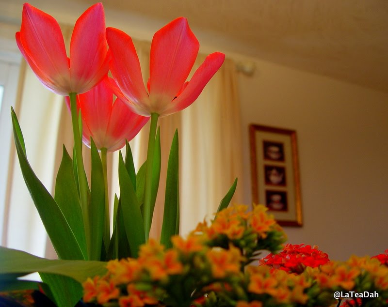 [DSC02576.JPG]