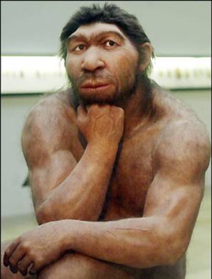 neanderthal-vmed_widec.jpg
