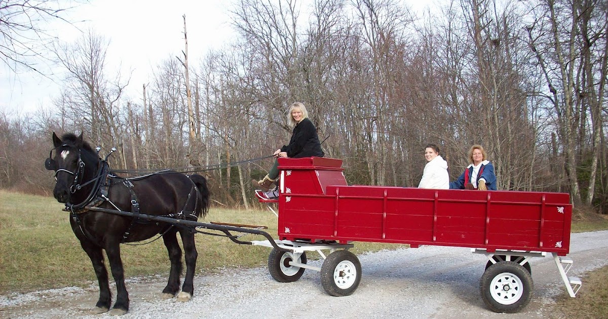 draft horse stuff Red Roberts Hitch Wagon