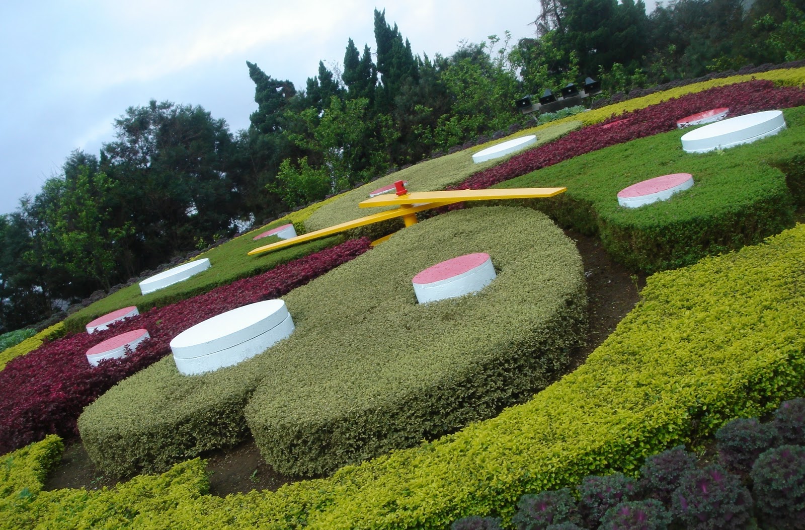 Flower Clock