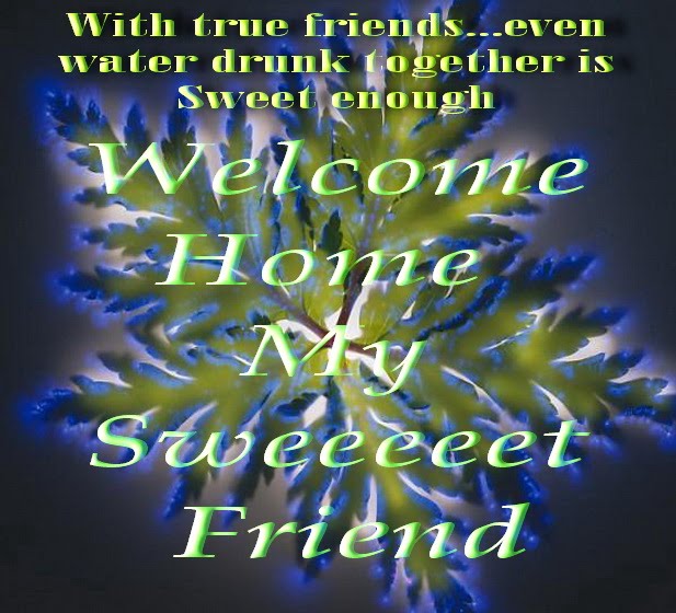 Welcome Back The Sweet Friend | THE COOL POSTS