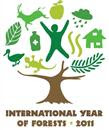 2011 International Year of Forests