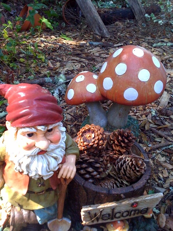 [Norman+and+the+toadstool.bmp]
