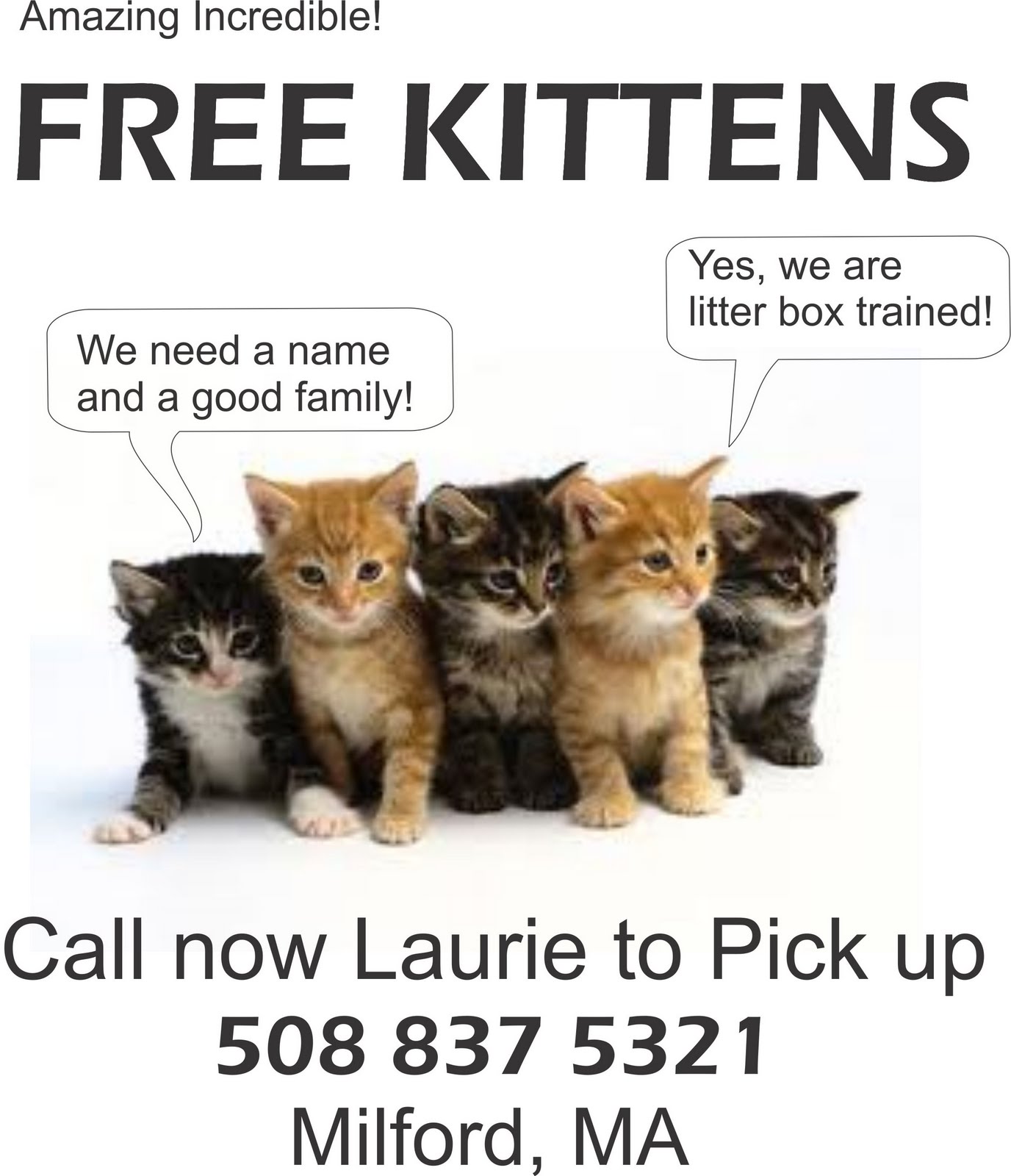 Sub kitten free porn images