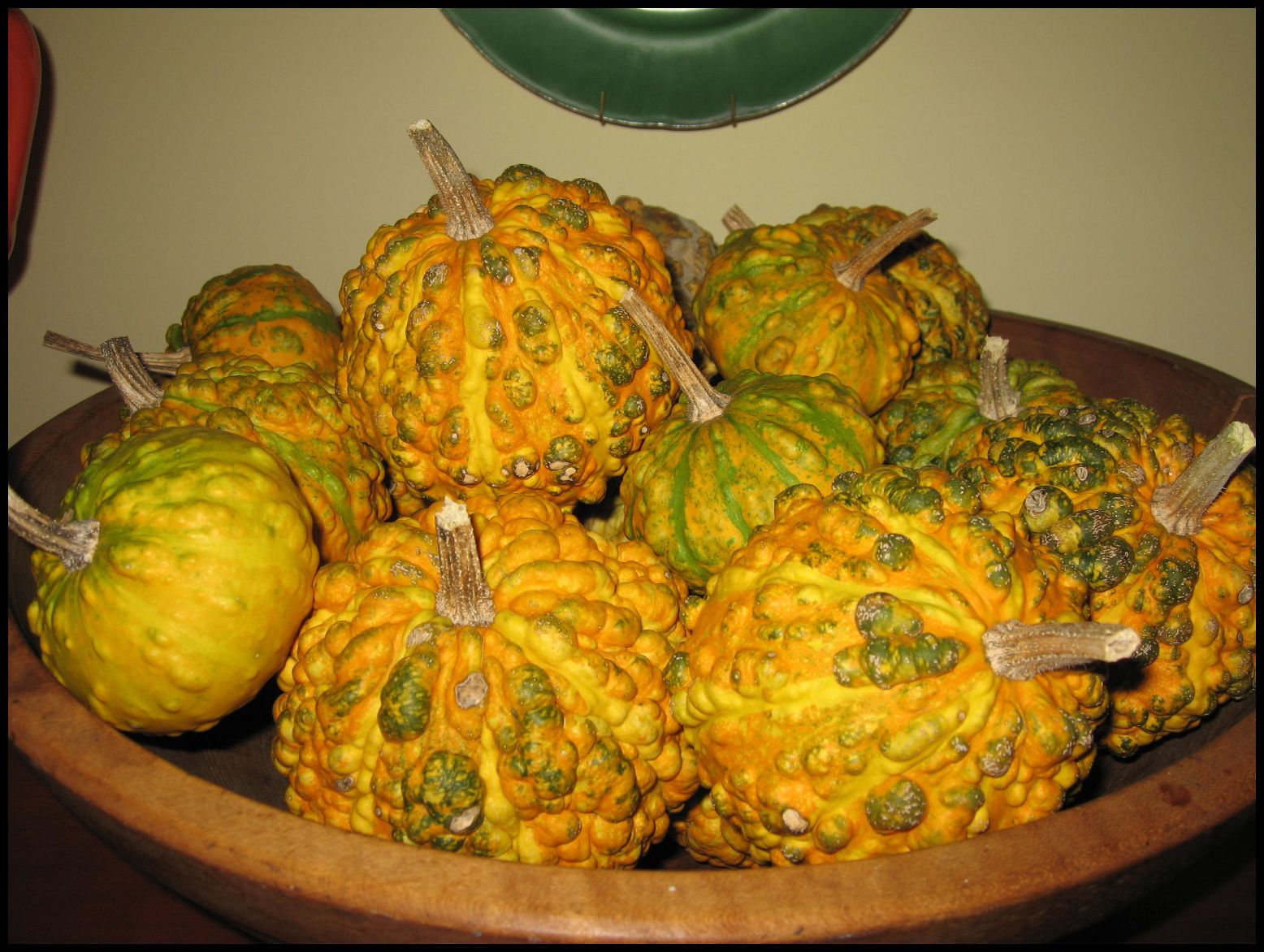 [gourds+in+wooden+bowl.jpg]