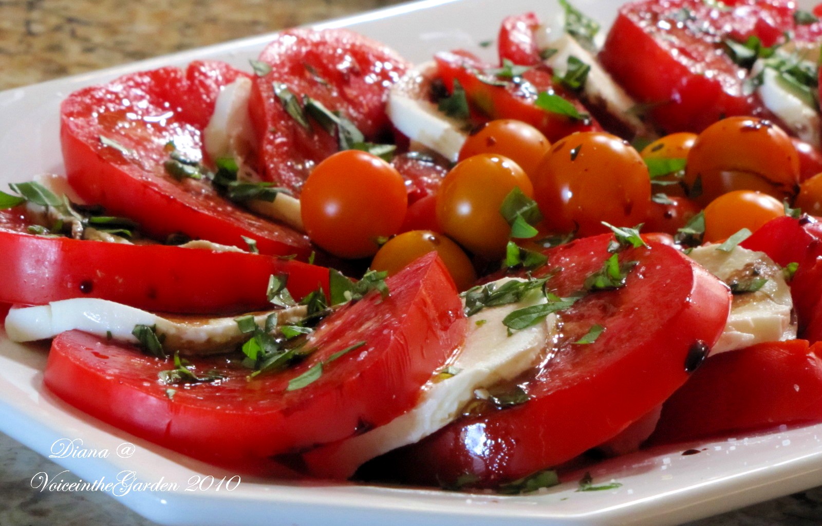Voice In The Garden Heirloom Tomato Basil Mozzarella Salad