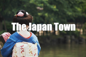 A guide for Japan