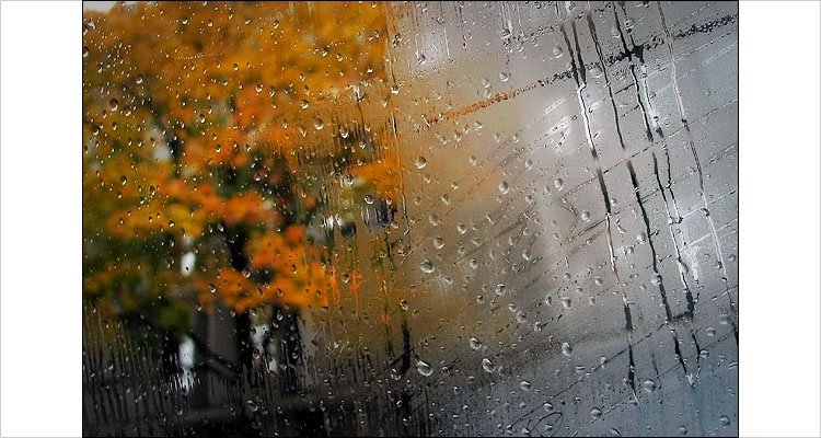 [rain_on_window.jpg]