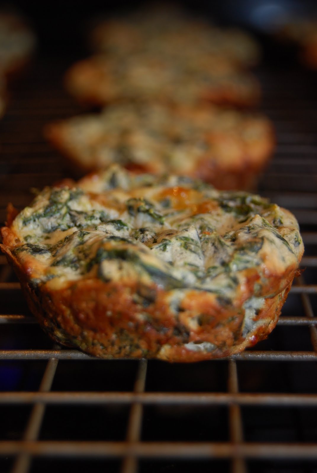 Hungry Hungry Jacob Spinach Ricotta Bites