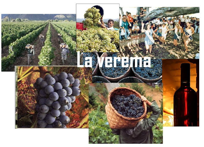 La verema