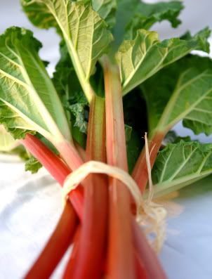 [rhubarb.jpg]