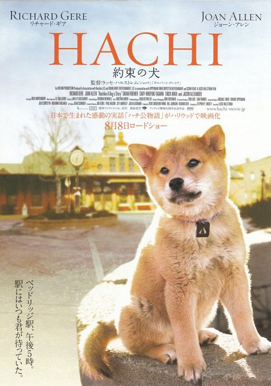 hachiko puppies