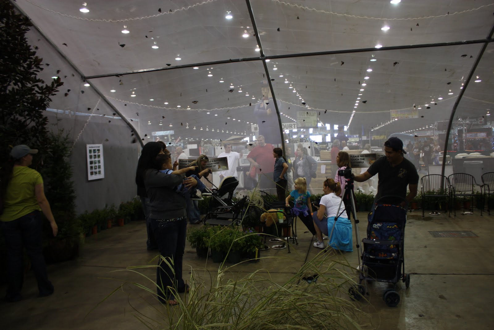 Butterfly House at the Tulsa Fair