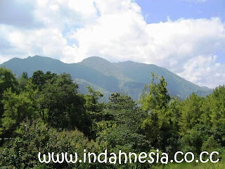 Indahnya Indonesia Buntu Kabbobong Si Gunung Nona