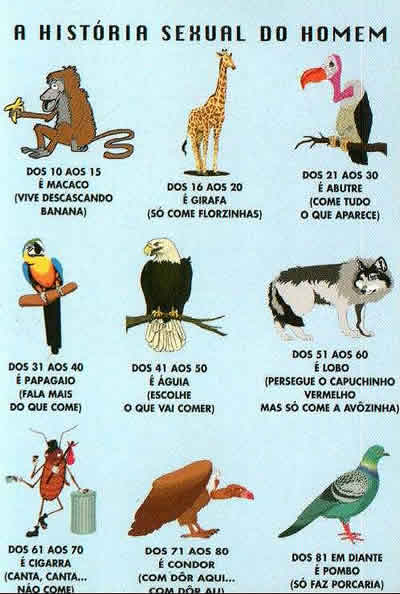 Defecação e potência