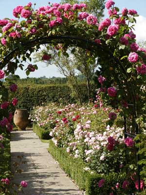 Rose Garden: ROSE GARDEN