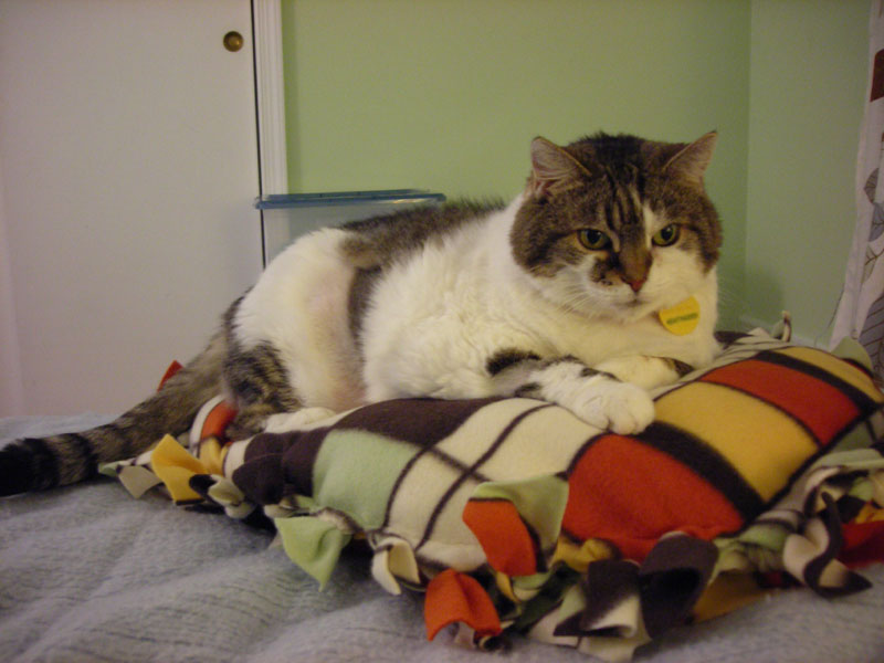 [Hazel+Lucy+on+That+70s+bed.jpg]