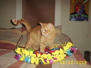 [331951_Monty+bed+purchased+by+Alfie.jpg]