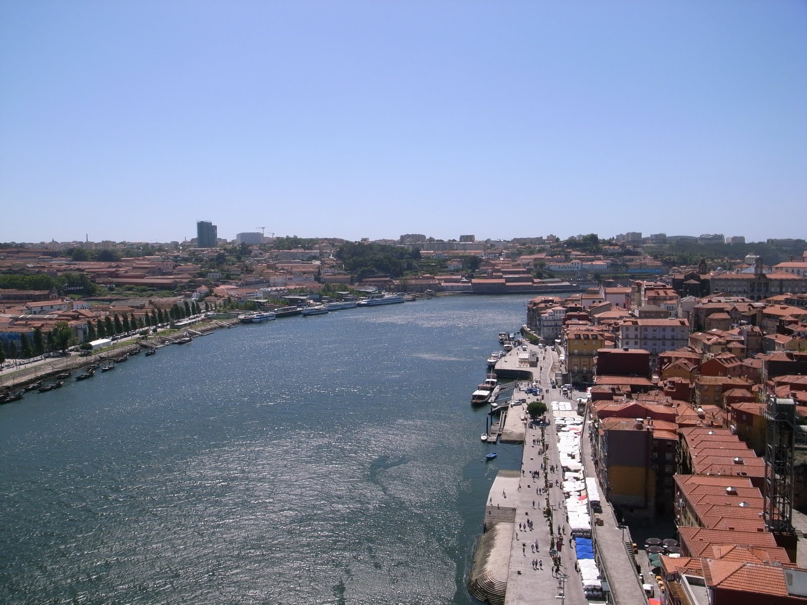 [R0010104.JPG]