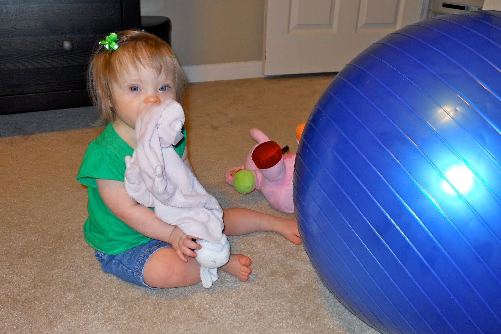 The Chronicles of Ellie Bellie Bear Bouncing Ball